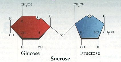 Ứng dụng của đường glucose trong cuộc sống?