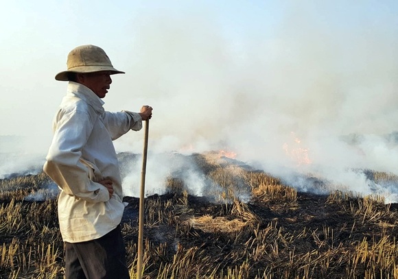 Đốt rơm rạ: Lãng phí tài nguyên, ô nhiễm môi trường - 1 Đốt rơm rạ: Lãng phí tài nguyên, ô nhiễm môi trường - 1