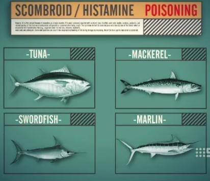 Histamine: Chất sinh học, gây dị ứng và nhiễm độc? - 6 Histamine: Chất sinh học, gây dị ứng và nhiễm độc? - 6