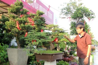 Chơi đâu những ngày giáp Tết? - 1 Nếu bạn đi dọc con đường Thành Thái vào thời điểm này, sẽ bị choáng ngợp bởi những chậu hoa, cây cảnh được bày bán trên đường.