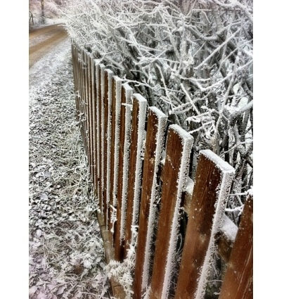 Mê mẩn bộ ảnh băng tuyết tuyệt đẹp chụp bằng iPhone - 4