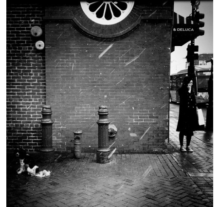 Mê mẩn bộ ảnh băng tuyết tuyệt đẹp chụp bằng iPhone - 2