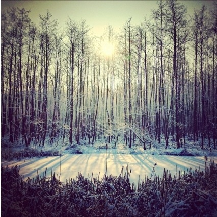 Mê mẩn bộ ảnh băng tuyết tuyệt đẹp chụp bằng iPhone - 8