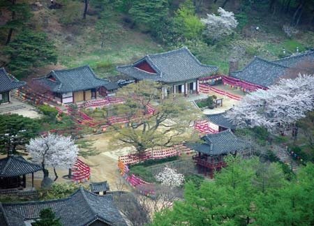 Khám phá Hàn Quốc… miễn phí!