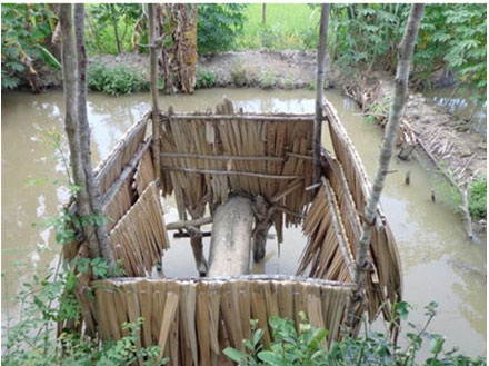 Giúp 400.000 người dân sẽ được cải thiện vệ sinh cơ bản - 1 Giúp 400.000 người dân sẽ được cải thiện vệ sinh cơ bản