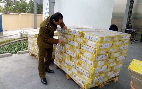 26.000 tấn thịt trâu nhập khẩu đã đi đâu? - 1 Lực lượng quản lý thị trưởng kiểm tra lô hàng thịt trâu nhập khẩu của một công ty.