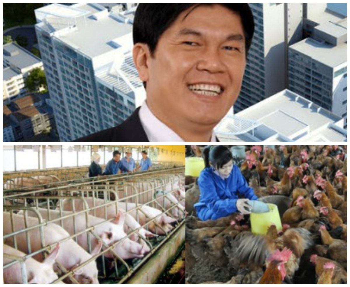 Bầu Long: Nhảy vào nông nghiệp không phải theo "mốt" - 1 Bầu Long: Nhảy vào nông nghiệp không phải theo mốt