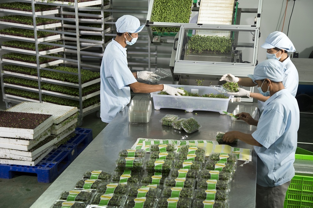 Nông nghiệp cần những DN không chỉ “mua đi bán lại” - 5 Nông nghiệp cần những DN không chỉ “mua đi bán lại” - 5