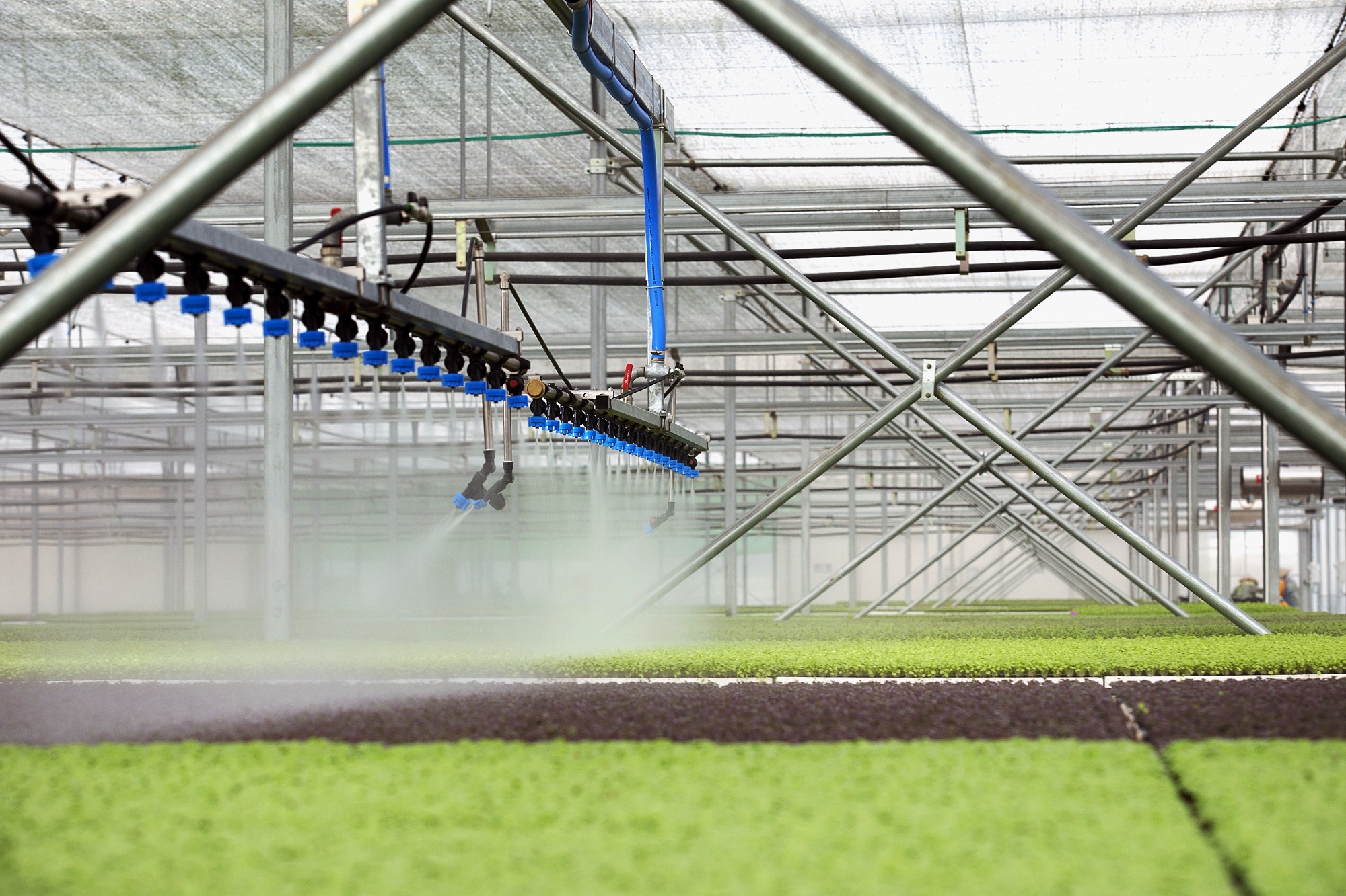 Tổng Giám đốc VinEco: Mục tiêu lớn nhất là lan tỏa văn hóa làm nông nghiệp an toàn - 2 Tổng Giám đốc VinEco: Mục tiêu lớn nhất là lan tỏa văn hóa làm nông nghiệp an toàn - 2