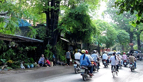 Các yếu tố thổi bùng giá trị bất động sản Hồ Tây - 1 Quy hoạch đường Hoàng Hoa Thám mở rộng và tuyến đường sắt đô thị số 2 nối thẳng phố Cổ khiến bất động sản Hồ Tây không ngừng tăng giá