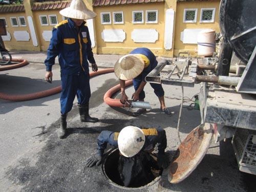 Công ty Đại Thắng Lợi: Chung tay bảo vệ môi trường - 2 Công ty Đại Thắng Lợi: Chung tay bảo vệ môi trường - 2