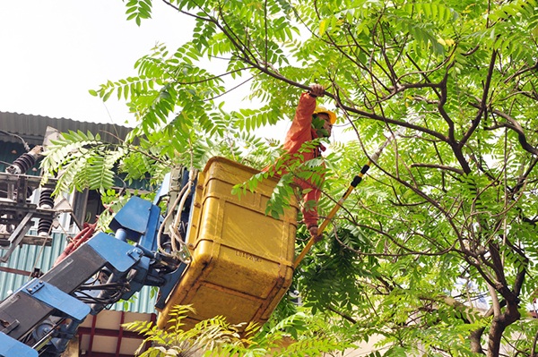 Đảm bảo an toàn điện trong mùa mưa bão - 2 Kiểm tra kịp thời phát hiện những điểm có nguy cơ ảnh đến vận hành lưới điện