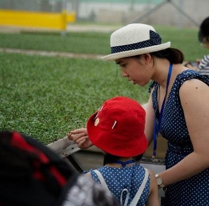 Được tận mắt khám phá thế giới xanh của các loại rau trồng công nghệ cao sẽ là những trải nghiệm mùa hè lý thú của bé.