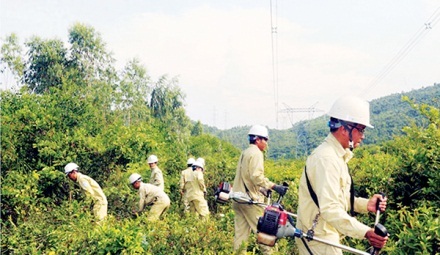 Đẩy mạnh ứng dụng KHCN cho dịch vụ điện năng hoàn hảo - 1