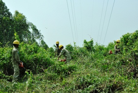Đẩy mạnh ứng dụng KHCN cho dịch vụ điện năng hoàn hảo - 2