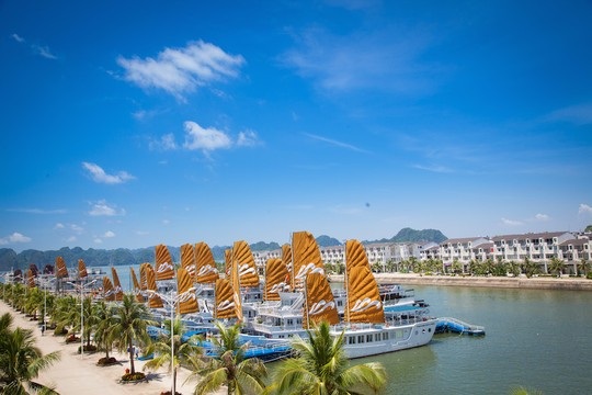 Chiêm ngưỡng những du thuyền 5* tại Hạ Long - 3 Du thuyền Paradise Luxury đang neo đậu tại Cảng tàu quốc tế Tuần Châu