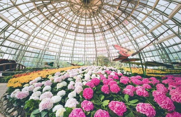 Đón năm mới rực rỡ tại Vinpearlland Nha Trang - 6