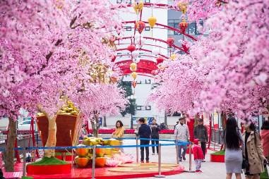 Ăn Tết, chơi Tết, sắm Tết ở đâu? - 3 Tại Vincom Mega Mall Times City (Hà Nội), mọi người sẽ được thoải mái bên nhau dạo chơi, lưu lại những hình ảnh Tết hân hoan trên con đường hoa đào ven hồ nhạc nước lãng mạn.