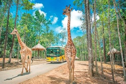 Tận hưởng quyền năng mùa hè tại Vinpearl Land - 4 Tận hưởng quyền năng mùa hè tại Vinpearl Land - 4
