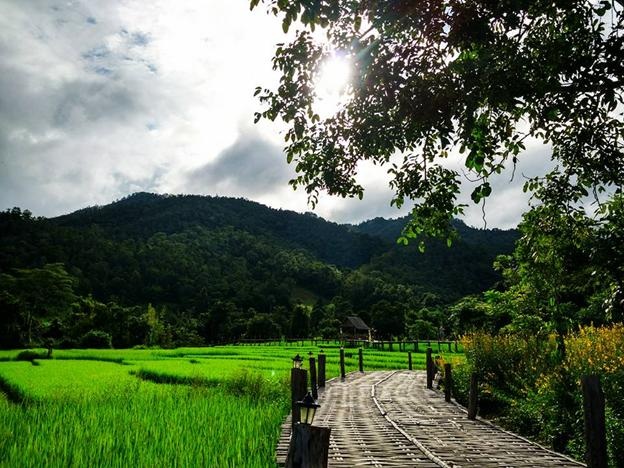 Kinh nghiệm đi bụi Thái Lan 11 ngày của cô gái 9x - 1 Kinh nghiệm đi bụi Thái Lan 11 ngày của cô gái 9x - 1