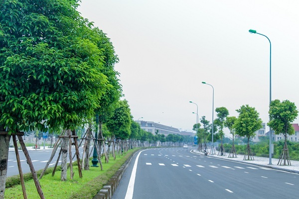 Khu đô thị Dương Nội của Tập đoàn Nam Cường đã sẵn sàng để kiểm toán - 2 Tuyến đường nội khu rộng với hàng nghìn cây xanh được trồng mới
