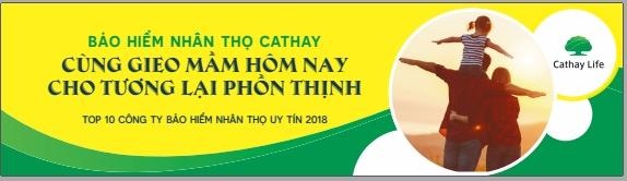 Công ty BHNT Cathay vinh dự lọt Top 10 Công ty Bảo hiểm uy tín nhất 2018 - 2 Công ty BHNT Cathay vinh dự lọt Top 10 Công ty Bảo hiểm uy tín nhất 2018 - 2