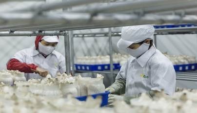 VinEco lọt Top 10 Công ty uy tín ngành thực phẩm - đồ uống 2018 - 3 VinEco lọt Top 10 Công ty uy tín ngành thực phẩm - đồ uống 2018 - 3