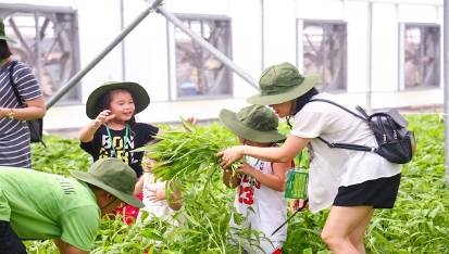 VinEco lọt Top 10 Công ty uy tín ngành thực phẩm - đồ uống 2018 - 8 VinEco lọt Top 10 Công ty uy tín ngành thực phẩm - đồ uống 2018 - 8