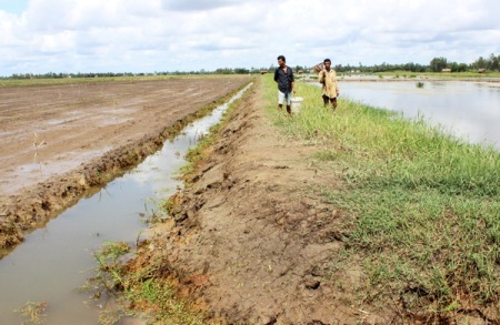 Hạn, mặn khốc liệt