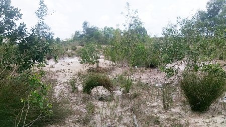 Kiểm tra các dự án “treo” gần 10 năm của doanh nghiệp ngang nhiên “cướp” đường công cộng - 8 Dự án tại khu du lịch bãi Cửa Cạn hiện nay hầu như không có công trình gì được xây dựng mà chỉ là khu đất hoang.