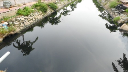 ...đã tạo nên nước đen ngòm, gây ô nhiễm nghiêm trọng do dòng kênh này.