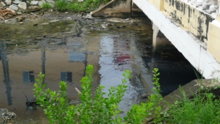 Dòng kênh “đen” nhiều năm “tra tấn” người dân thành phố - 7