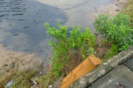 Dòng kênh “đen” nhiều năm “tra tấn” người dân thành phố - 13