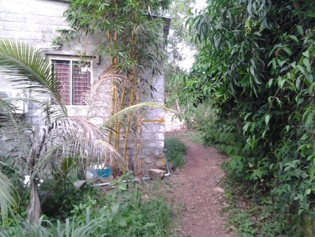 Văn phòng Chính phủ đề nghị UBND tỉnh Kiên Giang giải quyết khiếu nại của công dân - 2 Hai dự án treo của Công ty Hải Lưu.