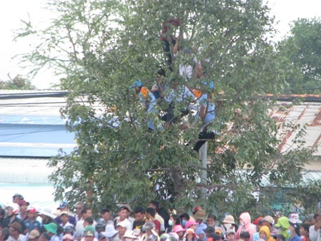 Sóc Trăng: Hàng chục ngàn người cuồng nhiệt xem đua ghe Ngo - 7