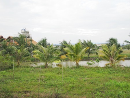 Có rất nhiều hồ và cây xanh trong khuôn viên công trình.