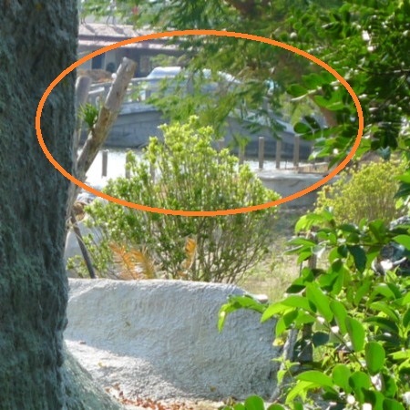 Có một hồ nhỏ, có cầu bán nguyệt bắc qua.