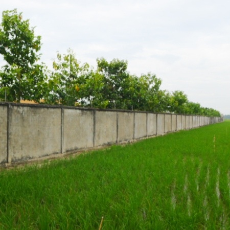 Công trình được bao bọc bởi bức tường cao khoảng 2m.