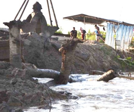 Vỡ đê bao, hàng chục ha lúa và hoa màu bị ảnh hưởng - 1 Đoạn đê bao bị vỡ.