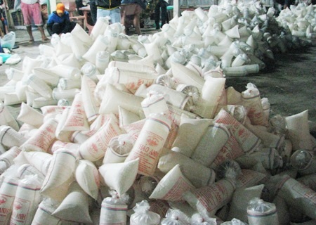 Chất lượng tôm giống rất khó kiểm soát nếu không có sự đầu tư của các Bộ, ngành chức năng và chung tay vào cuộc của các địa phương.