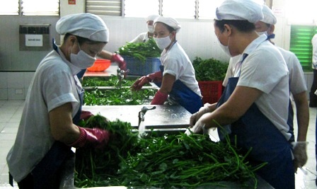 Nguồn nước thủy cục hiện vẫn chưa cung cấp tới nhiều quận huyện vùng ven của thành phố