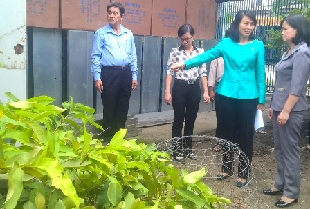 TPHCM: Nạn nhân của vi rút Zika "rải" đều ở 5 quận - 1 Phó chủ tịch UBND thành phố thị sát chống dịch tại quận 12