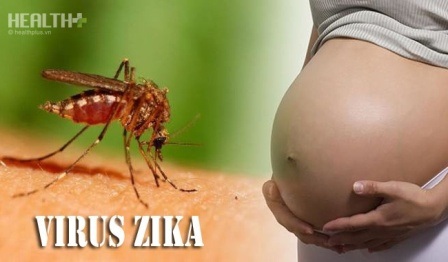 Ca mang thai thụ tinh ống nghiệm đầu tiên bị nhiễm Zika - 1 Hiện thành phố đang theo dõi cho 17 trường hợp nhiễm Zika theo quy định của Bộ Y tế (ảnh: minh họa)