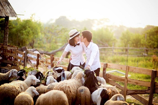 Ngất ngây với thảo nguyên hoa ngay giữa lòng Hà Nội - 1 Ngất ngây với thảo nguyên hoa ngay giữa lòng Hà Nội - 1