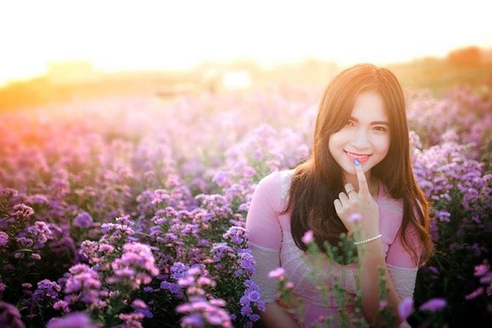 Ngất ngây với thảo nguyên hoa ngay giữa lòng Hà Nội - 2 Ngất ngây với thảo nguyên hoa ngay giữa lòng Hà Nội - 2