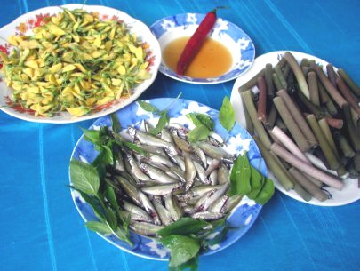 Mùa nước nổi - Mùa cá linh về tại ĐBSCL - 1 Món cá linh - đặc sản của vùng đồng bằng sông Cửu Long mùa nước nổi