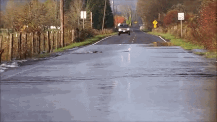 Cá hồi bơi thoăn thoắt qua đường quốc lộ để kiếm “bạn tình” - 3 Vận động viên bơi lội kỳ cựu