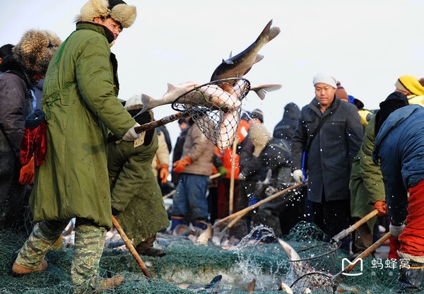 Xem ngư dân khoan cắt băng, đánh mẻ cá nặng hàng tấn - 5