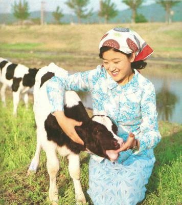 Hình ảnh khác lạ về cuộc sống phụ nữ Triều Tiên trong thời hoàng kim - 5 Thiếu nữ tại trang trại chăn nuôi bò sữa.
