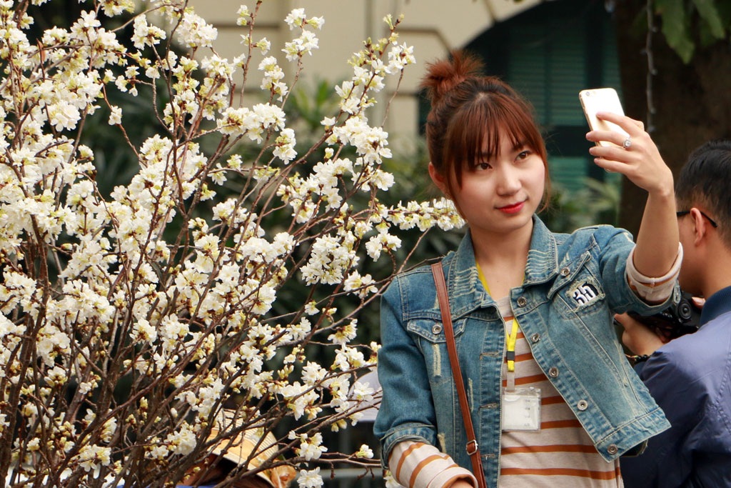 Bạn trẻ hào hứng chụp ảnh tại triển lãm hoa Anh đào tại Hà Nội năm 2016 (Ảnh: Mạnh Thắng)